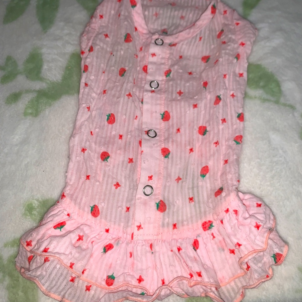 Dress for Small Dogs